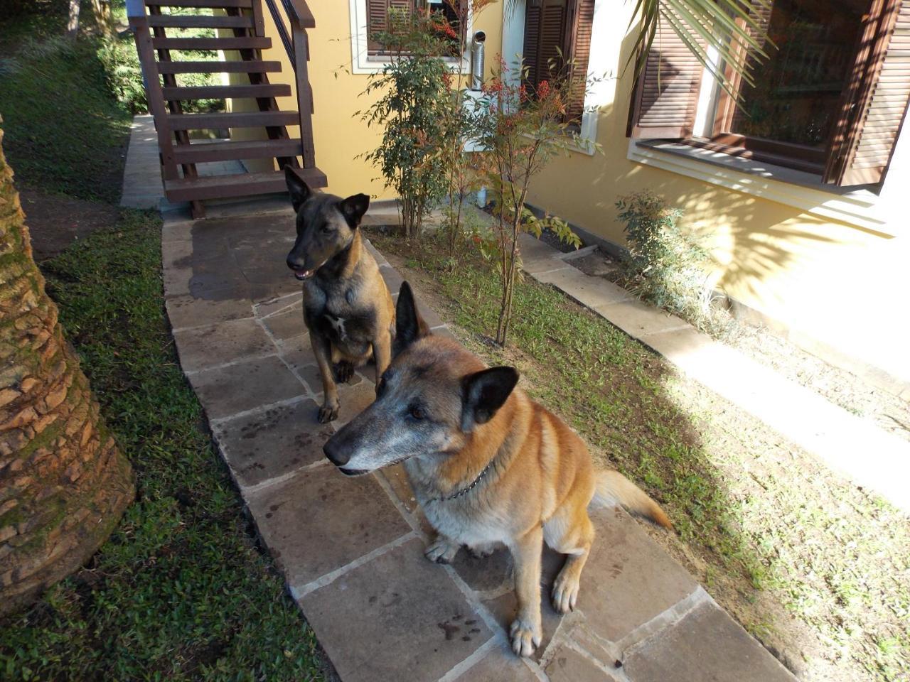 Sobrado Estilo Alemao Villa Canela Exterior photo